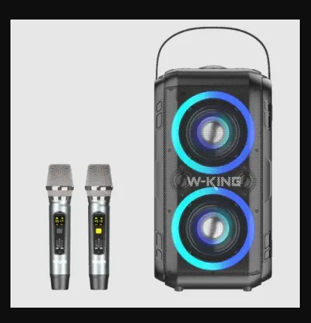 רמקול בידורית T9II ו-2 מיקרופונים מבית W-KING